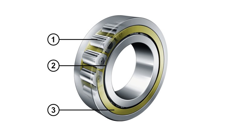 Cylindrical roller bearings with optimized rib contact